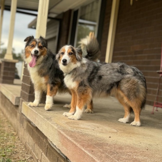 Photo of Bonus