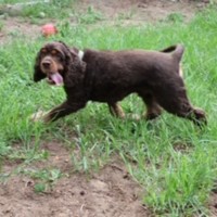 Photo of Dusty & Misty