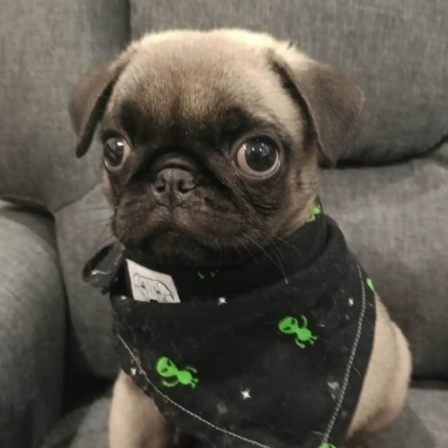 Photo of Harold