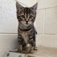 Photo of Morty