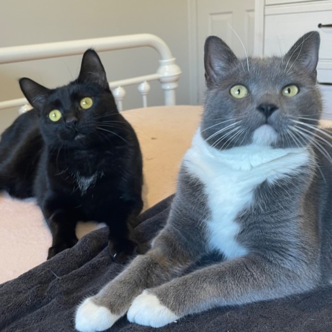 Photo of Winston And Nocturnal 