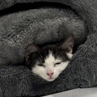 Photo of 👣 Apprentice 👣