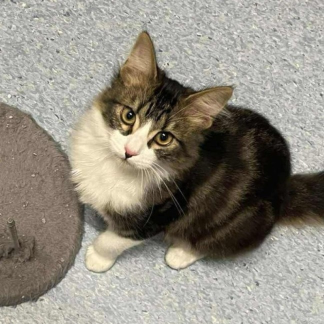 Photo of Kevin   Located In Kew