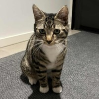 Photo of Cousin Jeffrey