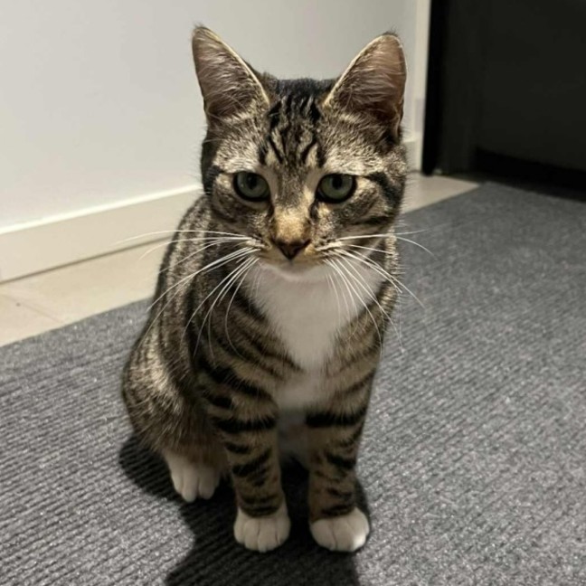 Photo of Cousin Jeffrey