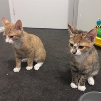 Photo of Cali And Rambo 🌈 