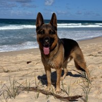 Photo of Max