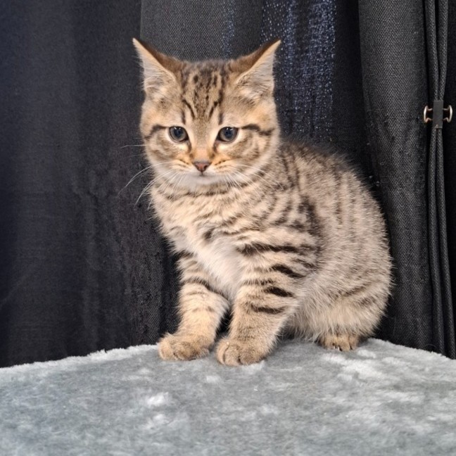 Photo of Ralph