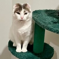 Photo of Liza