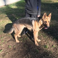 Photo of Odin