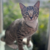 Photo of ❤️ Marlee ❤️