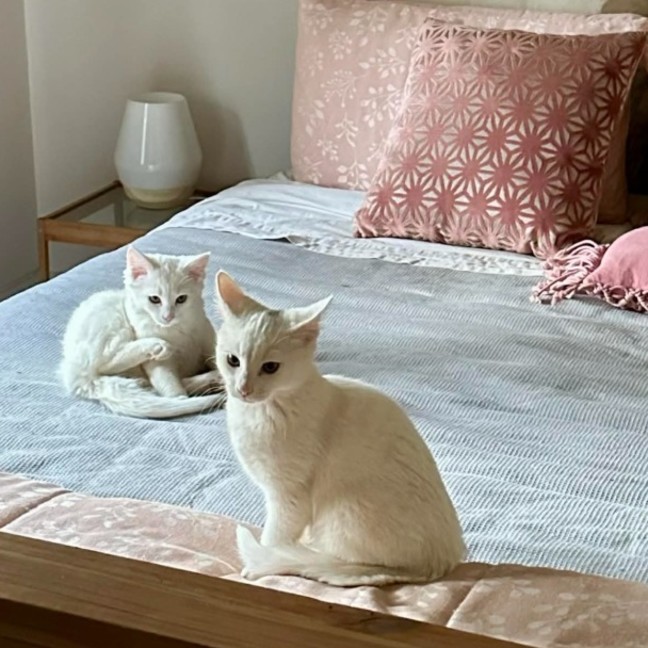 Photo of Rumi & Finn