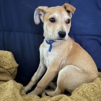 Photo of D1165 Wilson