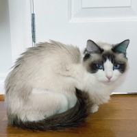 Photo of Yuri