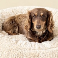 Photo of Matilda