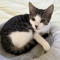 Photo of Esmerelda