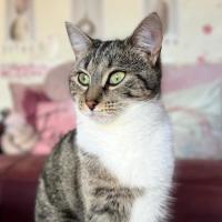 Photo of 🐭 Styx 🐭