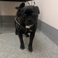 Photo of Christopher 