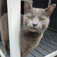 Photo of Smokey