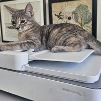 Photo of Smokey