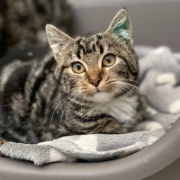 Photo of Kinki & Leelee