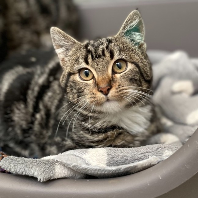 Photo of Kinki & Leelee