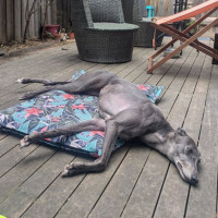 Photo of Emmie