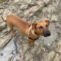 Photo of Marmie