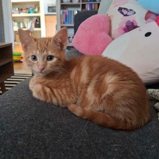 Photo of Clotho