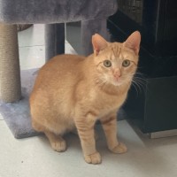 Photo of Monty