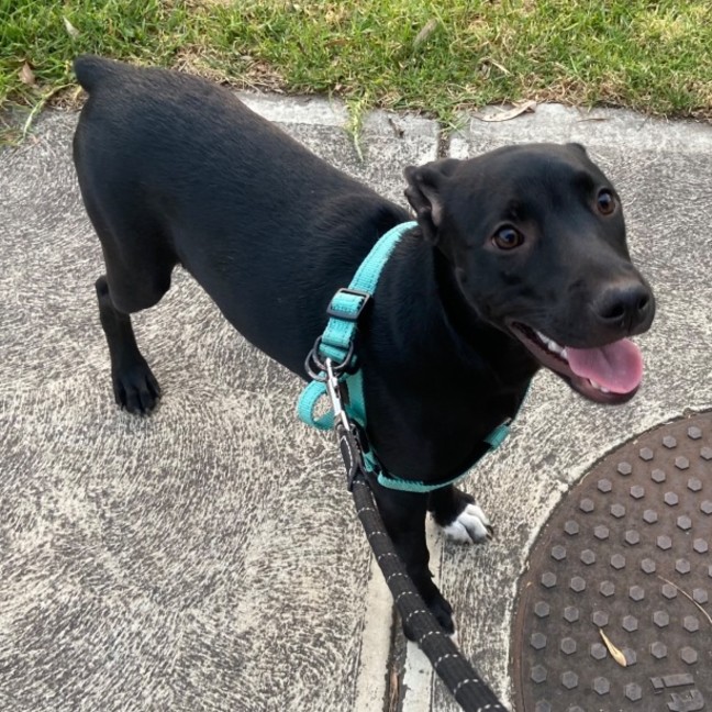 Photo of Mavis