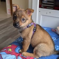 Photo of Jedda