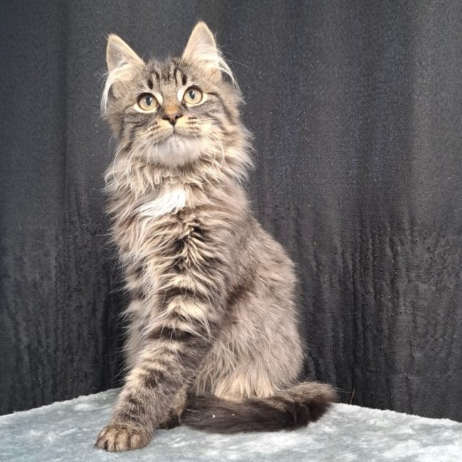 Photo of Calvin