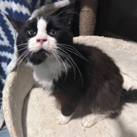 Photo of Hugo Boss 🎩