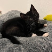 Photo of Tiny Liability