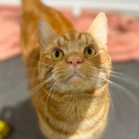 Photo of Sebastian