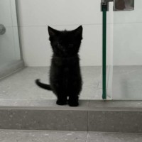 Photo of Frank   Located In Preston