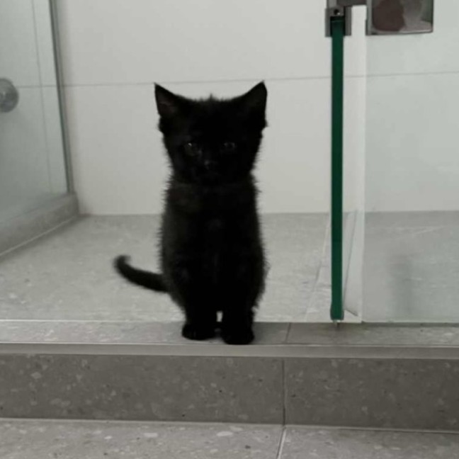 Photo of Frank   Located In Preston