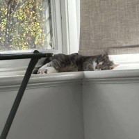 Photo of 🤗Sylvester🤗