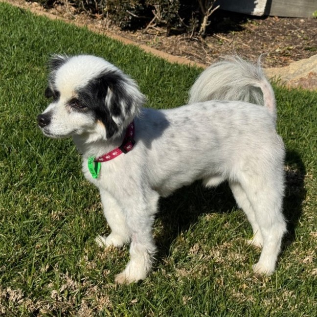 Photo of Betsy & Nigel