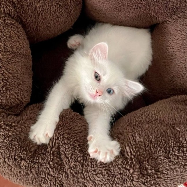 Photo of 🧸 Jesse 🧸