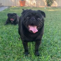 Photo of Lexi & Jay Jay