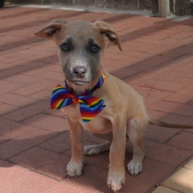 Photo of Noa