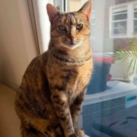 Photo of Heidi