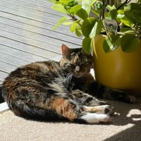 Photo of Maisey 🌹🌹