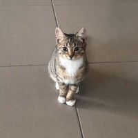 Photo of Mia