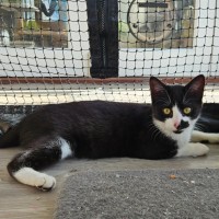 Photo of Scooter