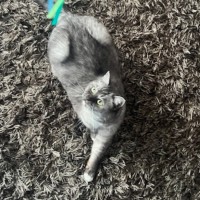 Photo of Mila   Located In Melbourne