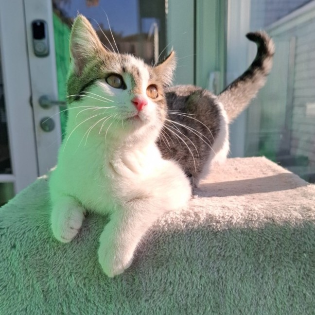 Photo of Hazel