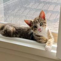 Photo of 😎 Simon 😎